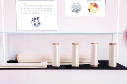一期年產量700噸 國內首家氧化鋁耐高溫新材料工廠在滬投產